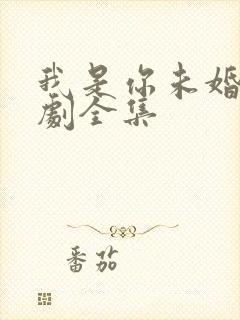 我是你未婚夫短剧全集