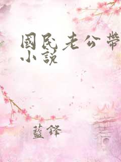 国民老公带回家小说