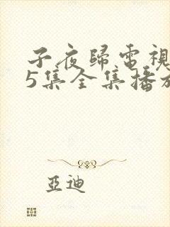 子夜归电视剧35集全集播放