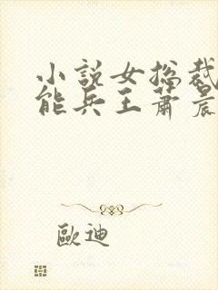 小说女总裁的全能兵王萧晨完结版
