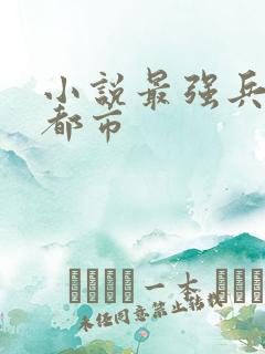 小说最强兵王在都市