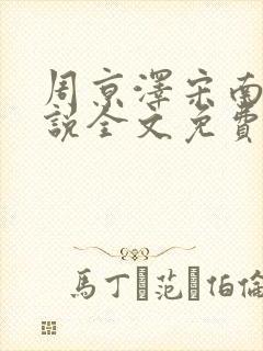 周京泽宋南汐小说全文免费阅读