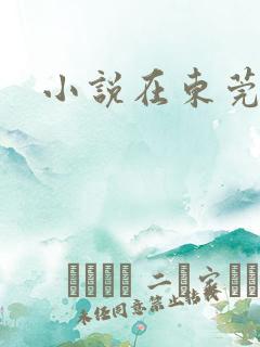 小说在东莞