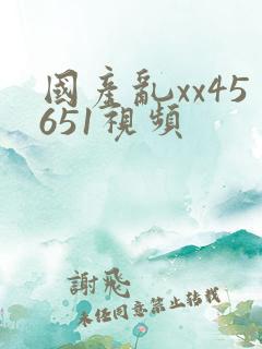 国产乱xx45651视频