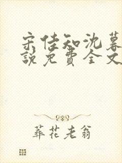 宋佳知沈暮安小说免费全文阅读