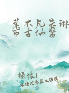 叶不凡朱琳琳都市古仙医