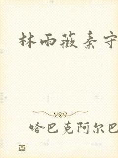 林雨薇秦守小说