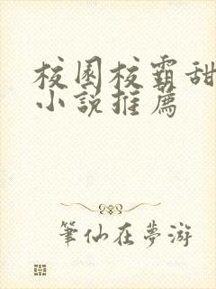 校园校霸甜宠文小说推荐