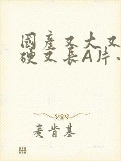 国产又大又粗又硬又长A片小说