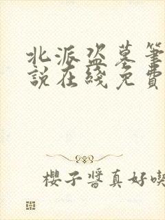 北派盗墓笔记小说在线免费阅读