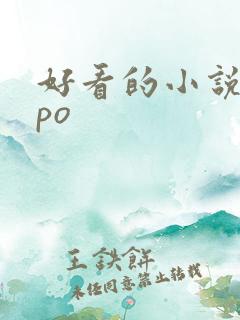 好看的小说popo