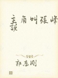 主角叫张峰的小说