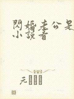 闪婚老公是大佬小说看