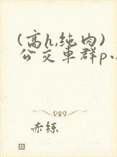 (高h,纯肉)公交车群p小说