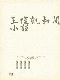 王俊凯和周梦莹小说