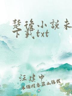 楚后小说未删版下载txt