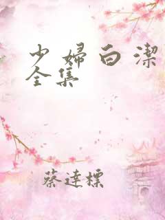 少 妇 白 洁全集