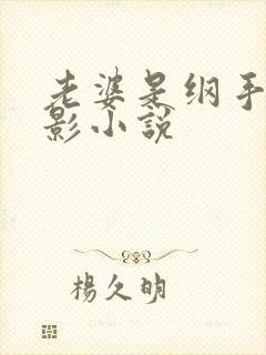 老婆是纲手的火影小说