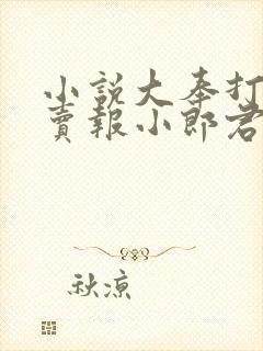 小说大奉打更人卖报小郎君正版
