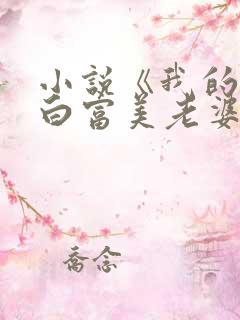 小说《我的总裁白富美老婆》