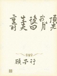 重生后我顶替了前夫白月光有声版