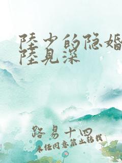 陆少的隐婚罪妻陆见深