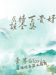 《榜下贵婿》小说全集