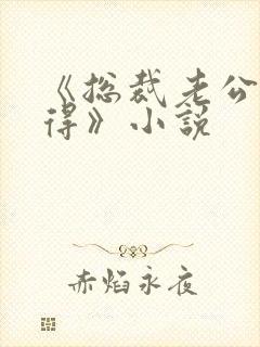 《总裁老公惹不得》小说