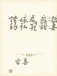 错嫁成瘾:总裁的私宠甜妻
