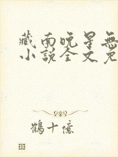 藏南晚星无删减小说全文免费阅读