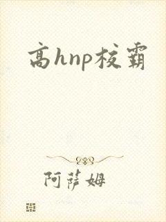 高hnp校霸