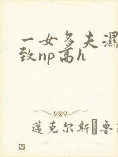 一女多夫湿润紧致np高h