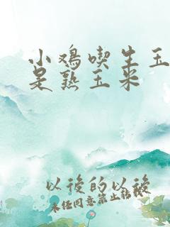 小鸡吃生玉米还是熟玉米