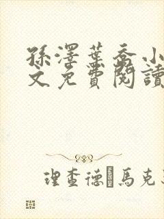 孙泽叶乔小说全文免费阅读最新章节