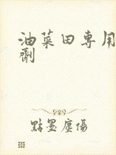 油菜田专用除草剂