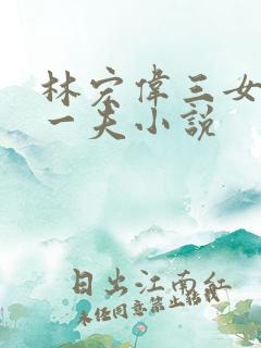 林宏伟三女共侍一夫小说