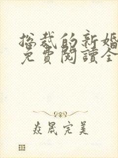 总裁的新婚罪婚免费阅读全文