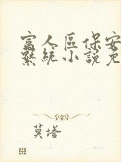 富人区保安征服系统小说免费阅读