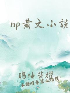 np黄文小说h