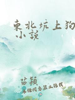 东北坑上狗儿娘 小说