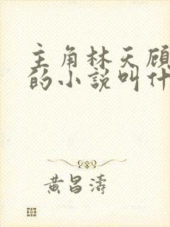 主角林天顾悦瑶的小说叫什么