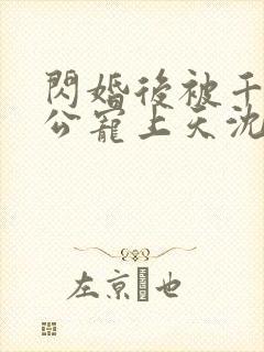 闪婚后被千亿老公宠上天沈沐