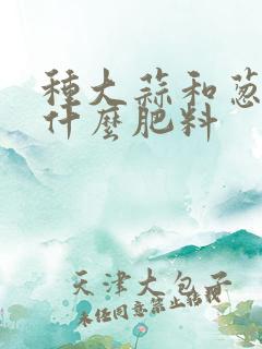 种大蒜和葱撒些什么肥料