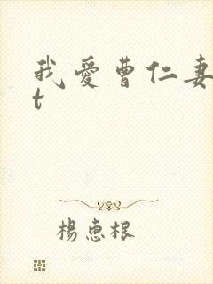 我爱曹仁妻txt