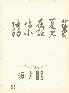 他站在夏花绚烂的小说免费阅读