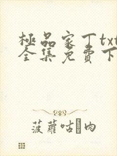 极品家丁txt全集免费下载