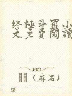终极斗罗小说全文免费阅读无弹窗