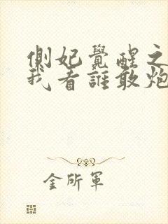 侧妃觉醒之后,我看谁敢炮灰我