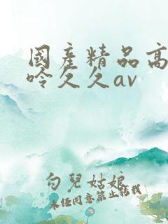国产精品高潮呻呤久久av