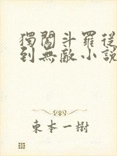 独闯斗罗从穿越到无敌小说